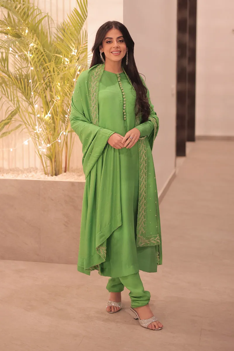 Don’t Miss Out – Apple Green Dress in Luxe Raw Silk Elegance Apple Green Dress in Raw Silk with Hand-Embellished Details, Perfect for Weddings and Special Occasions, Radiating Timeless Elegance.