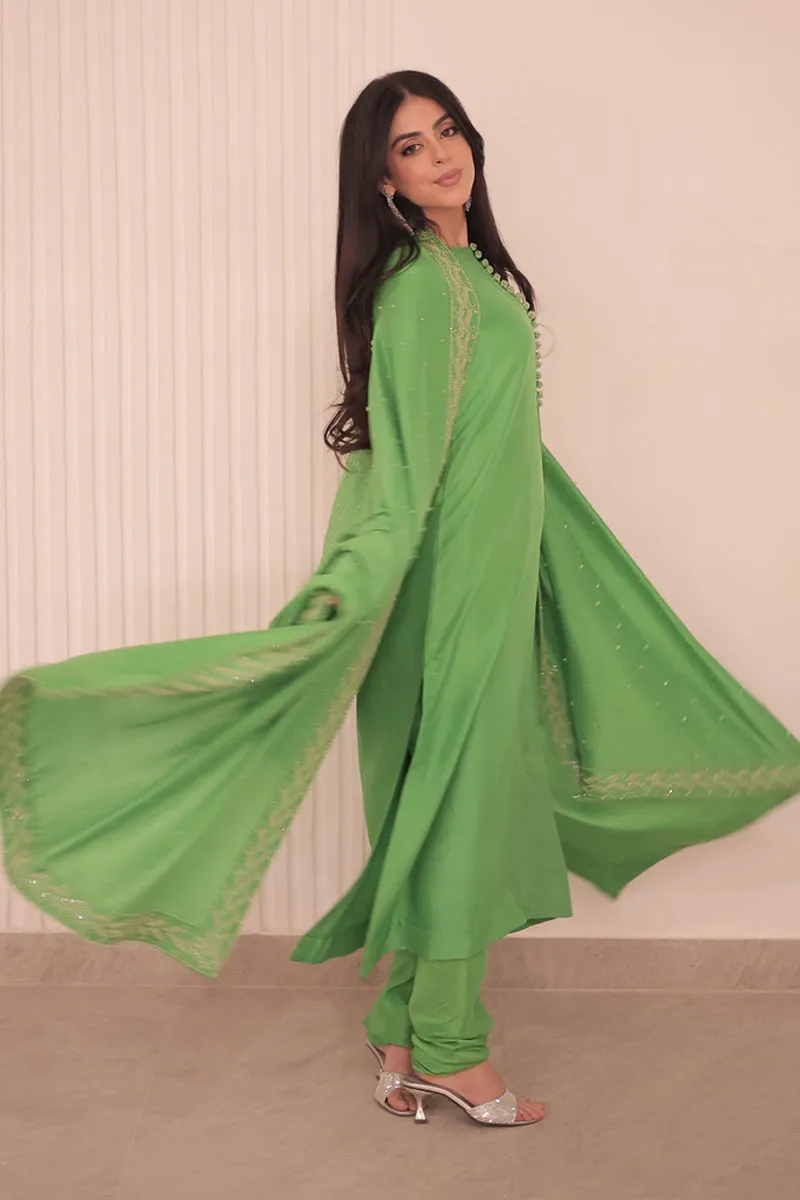 Don’t Miss Out – Apple Green Dress in Luxe Raw Silk Elegance "Apple Green Dress back view with handcrafted embellishments, designed for the modern woman seeking a blend of tradition and contemporary style."