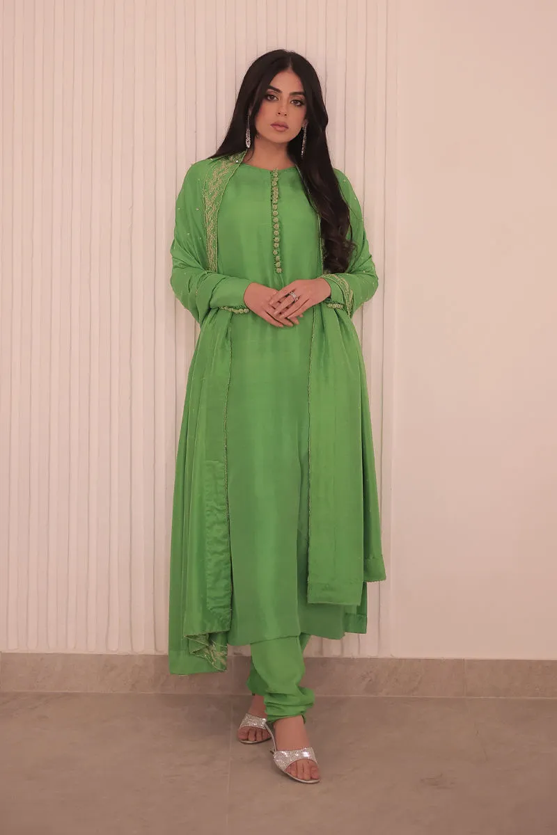 Don’t Miss Out – Apple Green Dress in Luxe Raw Silk Elegance "Apple Green Dress worn by model in full-length shot, radiating confidence and elegance at a festive event."