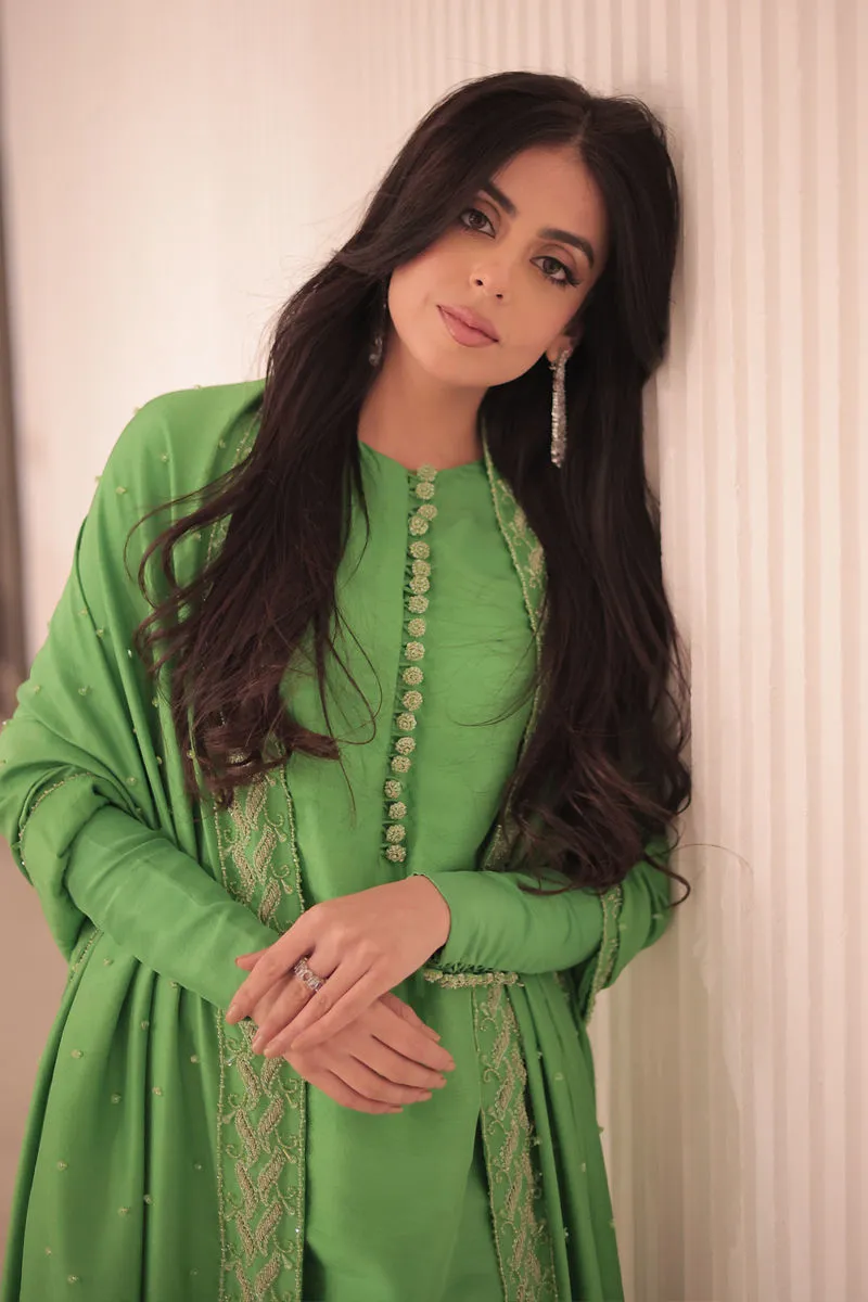 Don’t Miss Out – Apple Green Dress in Luxe Raw Silk Elegance "Apple Green Dress close-up highlighting hand-embellished details, showcasing premium artistry and exclusive craftsmanship."