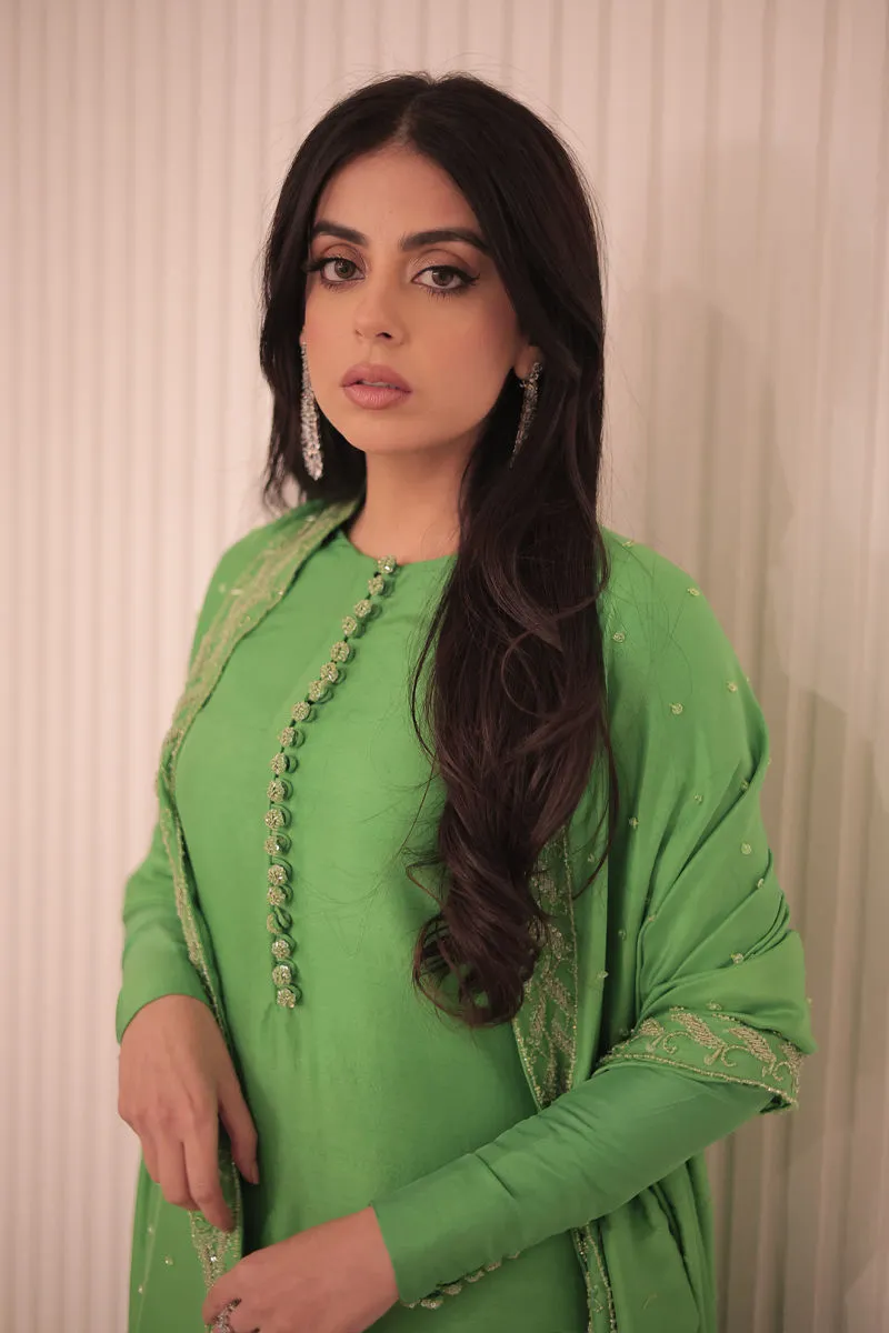 Don’t Miss Out – Apple Green Dress in Luxe Raw Silk Elegance "Close-up of Apple Green Raw Silk Dress fabric, emphasizing the luxurious softness and premium texture of the outfit, perfect for luxury wear.