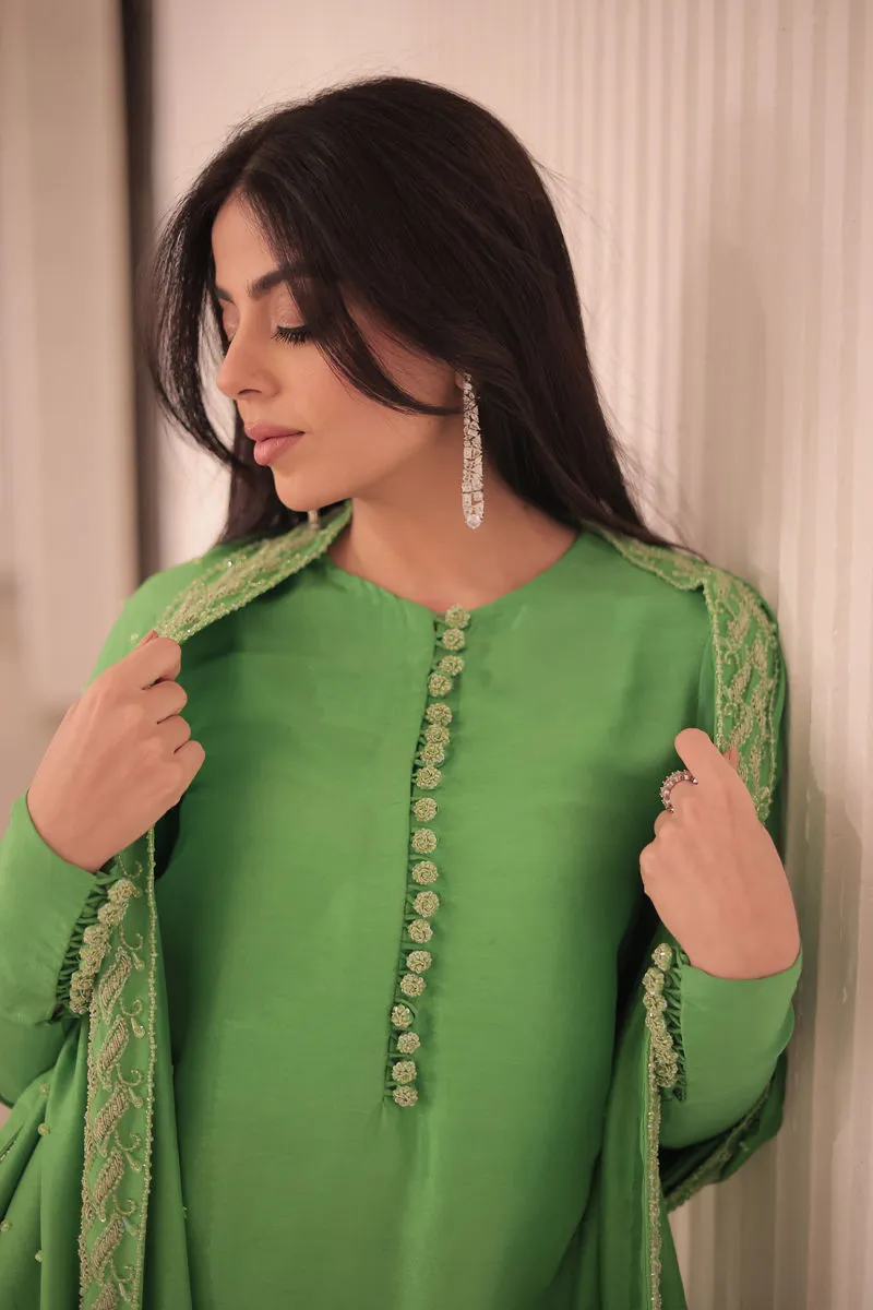 Don’t Miss Out – Apple Green Dress in Luxe Raw Silk Elegance "Apple Green Dress paired with matching accessories, creating a luxurious and sophisticated look for any special occasion."