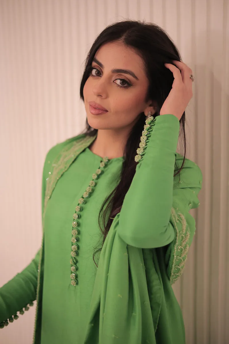 Don’t Miss Out – Apple Green Dress in Luxe Raw Silk Elegance "Apple Green Dress close-up on a model in a festive background, designed for modern women who appreciate luxury and elegance for special occasions."