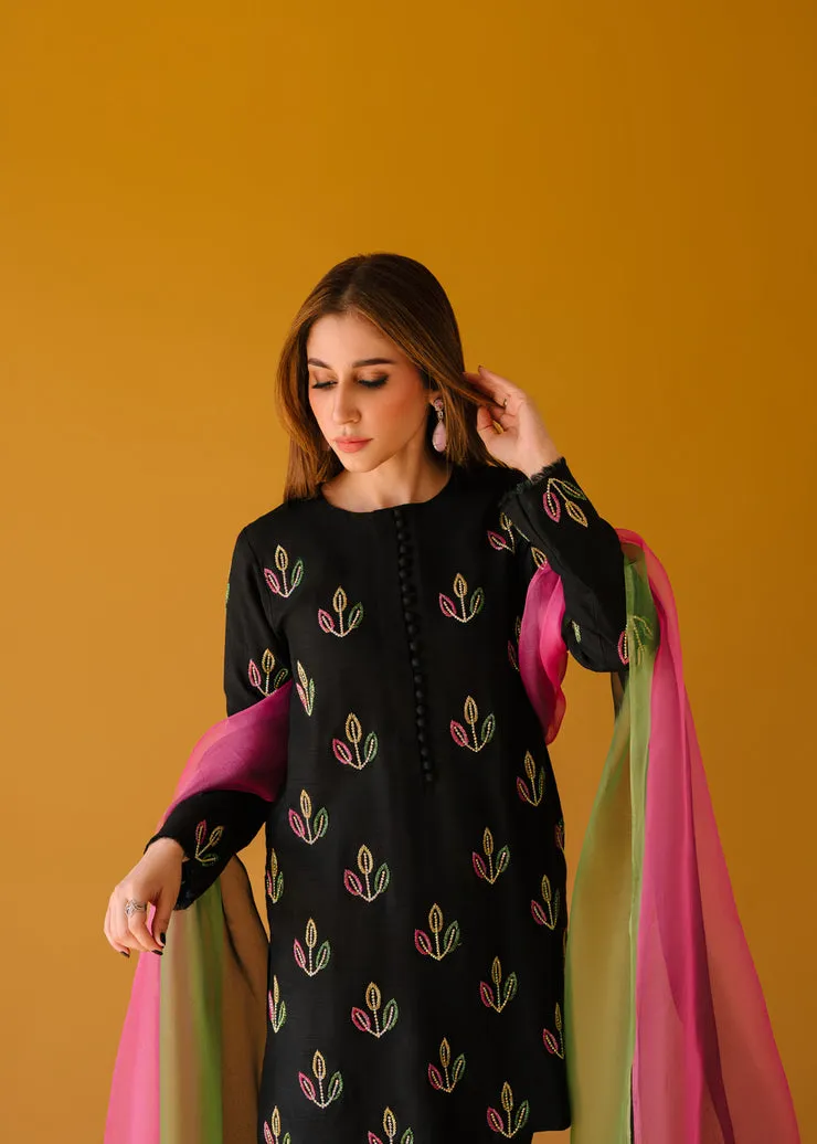 Three-Colored Organza Dupatta with Tassels Styled with Black Short Shirt