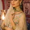 Noor ensemble net dupatta with delicate sequin embellishments