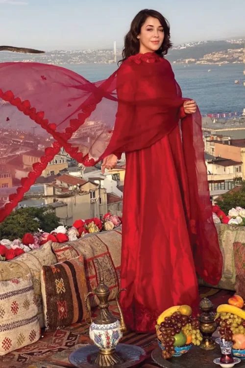 Red silk dress with luxurious organza dupatta, perfect for weddings and special occasions.