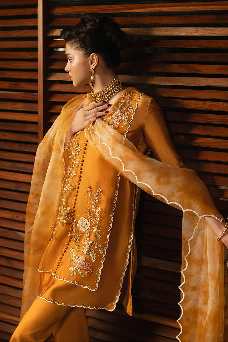 Luxury pret embroidered organza dress with a detailed view of the embroidered floral motifs, showcasing the fine craftsmanship.