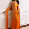 Orange velvet short jacket with intricate embroidery and embellishments