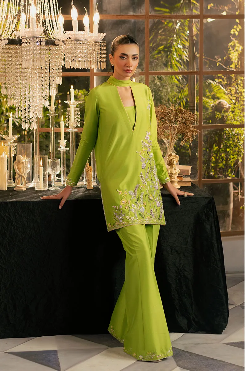 Vibrant Green Pakistani Outfit with Modern Silhouette ????