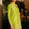 Parrot Green Silk Dress with Multi-Colored Embroidery ????