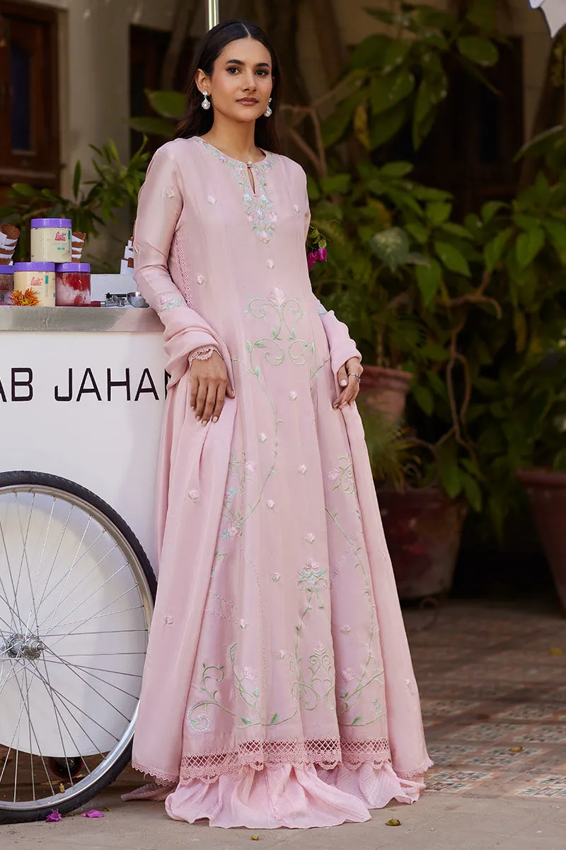 Blush Pink Resham Embroidered Raw Silk Kalidaar