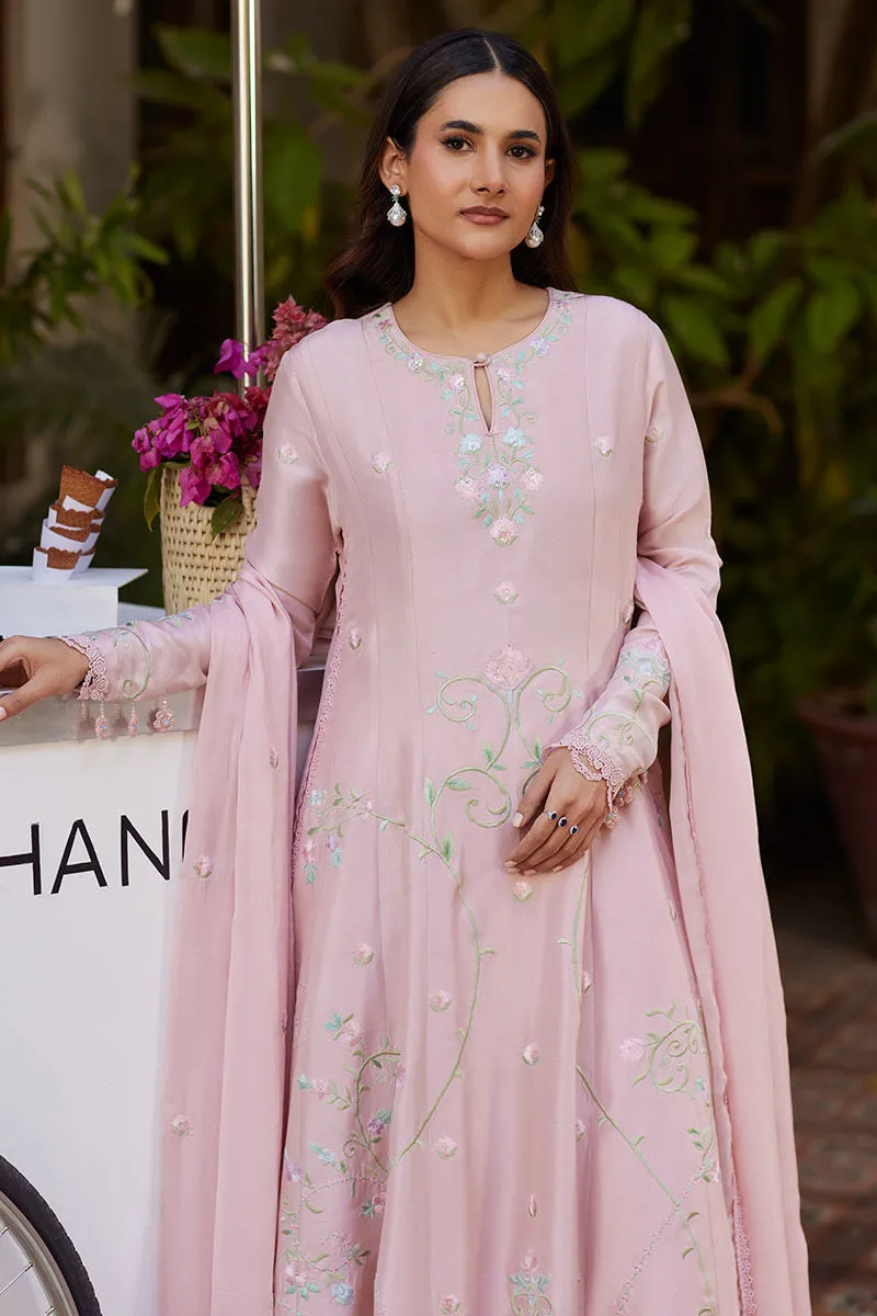 Blush Pink Resham Embroidered Raw Silk Kalidaar