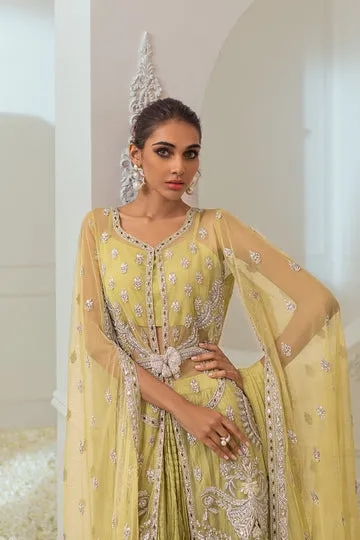 Green Gharara Set – Floral Motif Embroidery with Net Dupatta