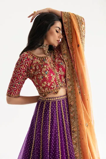 Bridal Lehenga Choli - Back View Showing Detailed Tassels