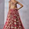Zardozi Work Bridal Lehenga in Silk Dupion with Tulle Veil & Wings