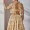Pearl Embroidered Lehenga and Bustier with Sheer Overlay