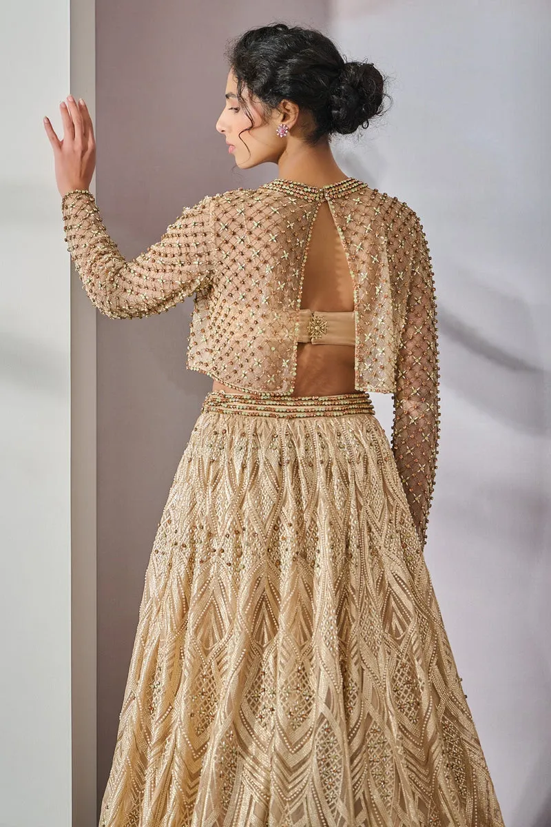 Pearl Embroidered Lehenga and Bustier with Sheer Overlay