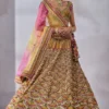 Phulkari Punjabi Handcrafted Lehenga for Brides & Festivities