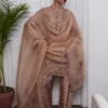 "Beige Fawn Pure Raw Silk Kameez with Intricate Embroidery"