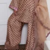 "Beige Fawn Pure Raw Silk Kameez with Intricate Embroidery"
