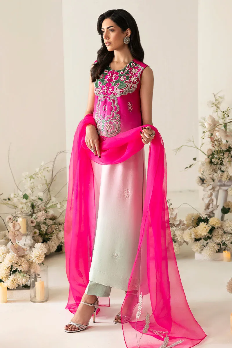 Traditional gradient dress 2025 with sheer pink dupatta