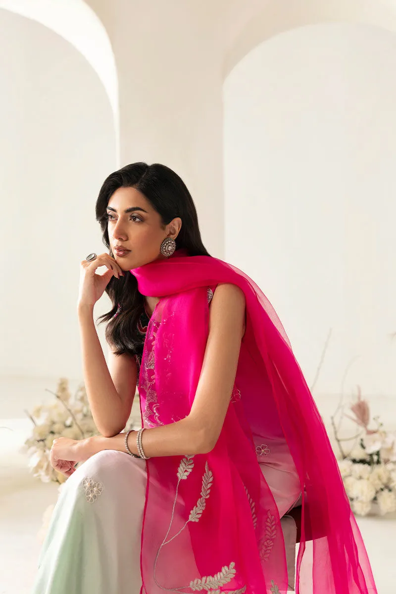 Traditional gradient dress 2025 with sheer pink dupatta
