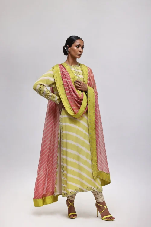 "✨Lehéza-Mukesh-Embroidery-Detail" "✨Lehéza-Mukesh-Embroidery-Detail"