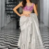 Silver Embellished Saree showcasing the extravagantly draped silhouette and the vibrant magenta blouse.
