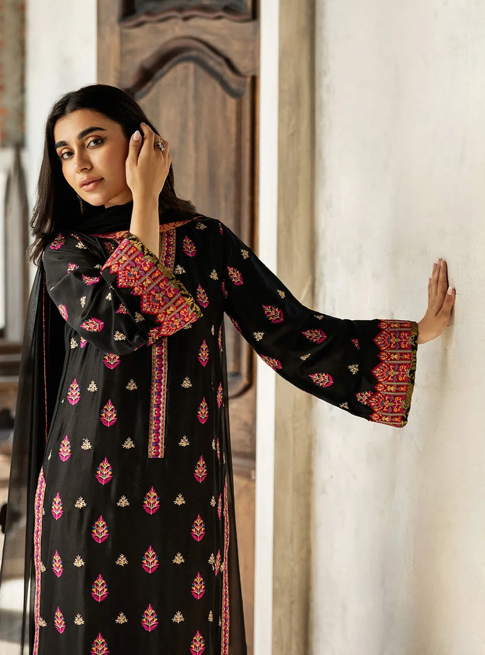 The stunning, fully embroidered back of the Black Orchid Kashmiri Suit, a true tapestry of artistry.