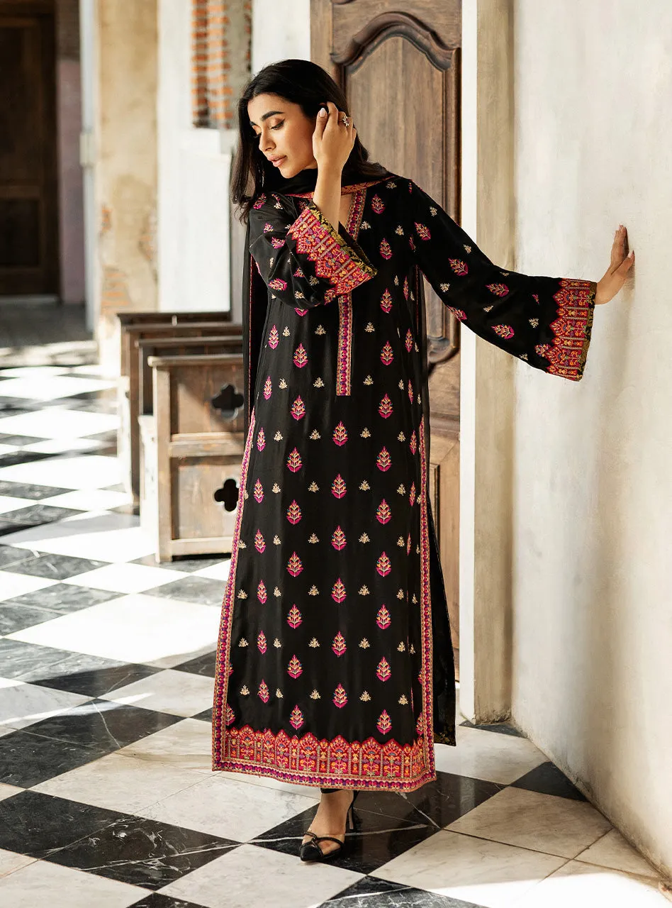 Full view of the Black Orchid Kashmiri Suit with its raw silk pants and the pure chiffon dupatta with a Jamawar border.