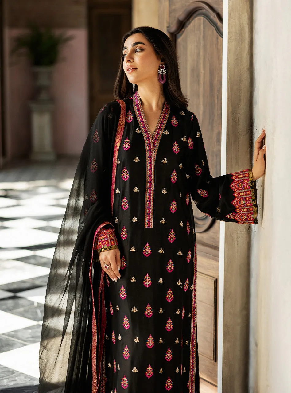 Full view of the Black Orchid Kashmiri Suit with its raw silk pants and the pure chiffon dupatta with a Jamawar border.