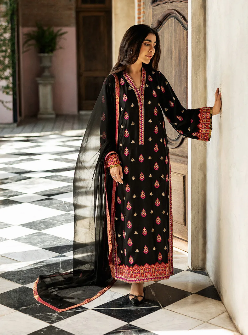 Full view of the Black Orchid Kashmiri Suit with its raw silk pants and the pure chiffon dupatta with a Jamawar border.
