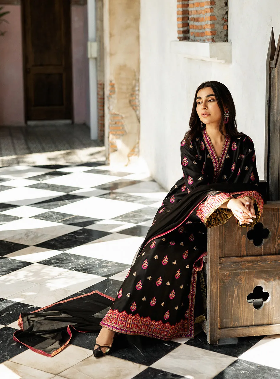 Full view of the Black Orchid Kashmiri Suit with its raw silk pants and the pure chiffon dupatta with a Jamawar border.