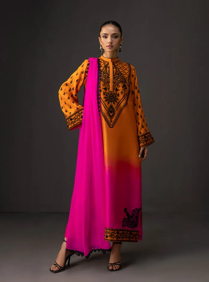 Full view of the gradient embroidered dress with matching raw silk pants and a flowing pure chiffon dupatta.