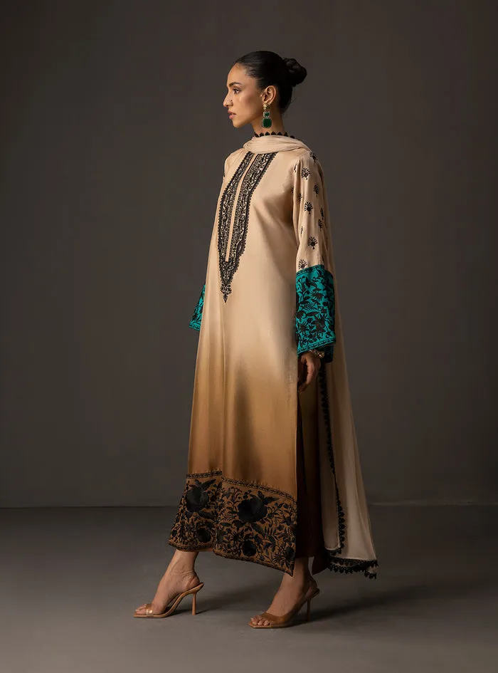 Full view of the gradient embroidered shirt (50" length) with matching tussle silk pants and chiffon dupatta.