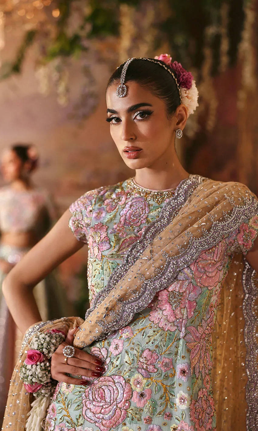 Pakistani formal gharara suit full length view