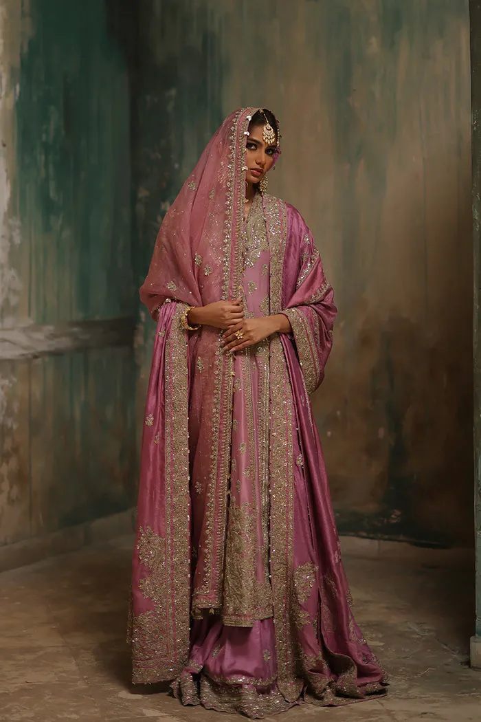 008A0338t Parizad-NA