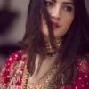 Pakistani mehndi lehenga crimson raw silk — Kaamdani and Resham embroidery detail, HBO Multan Atelier