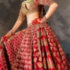 Shahi Zafar – complete bridal silhouette with scalp cut organza dupatta | HBO Atelier Multan