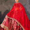 Shahi Zafar – complete bridal silhouette with scalp cut organza dupatta | HBO Atelier Multan