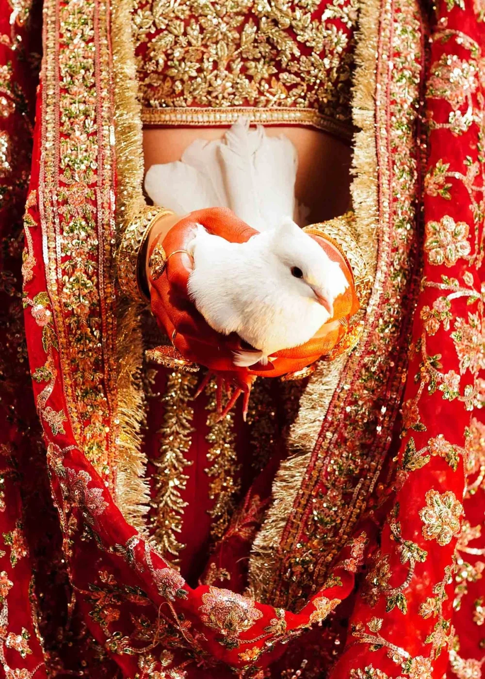 Fasanay Shahi red bridal lehenga – heavy floral jaal organza dupatta with four-side embellished border | HBO