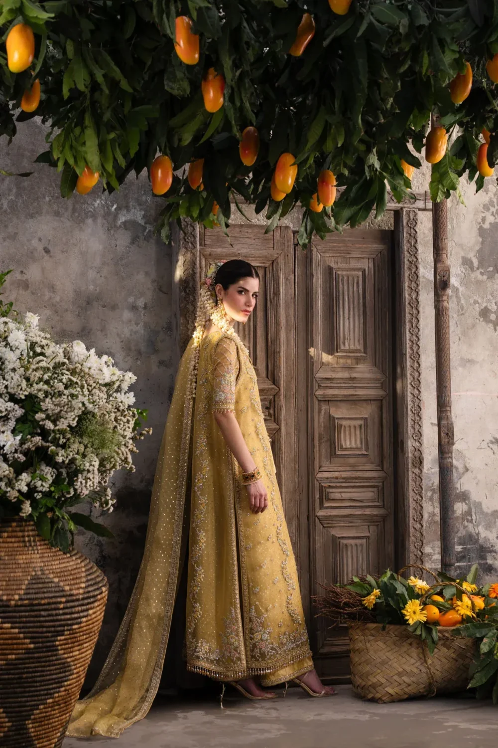 cape-dupatta-flowing-scalloped-border-pishwas-dress-mustard-organza-hammad-bespoke-official.webp cape dupatta flowing scalloped border pishwas dress mustard organza Hammad Bespoke Official