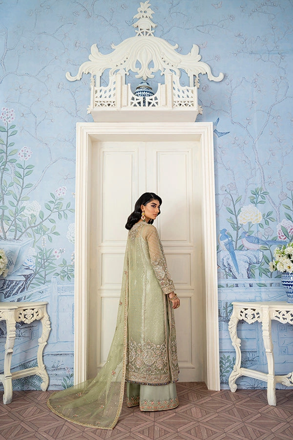embroidered-net-suit-back-view-sage-green-border-embroidery-hammad-bespoke-official.webp embroidered net suit back view sage green border embroidery Hammad Bespoke Official
